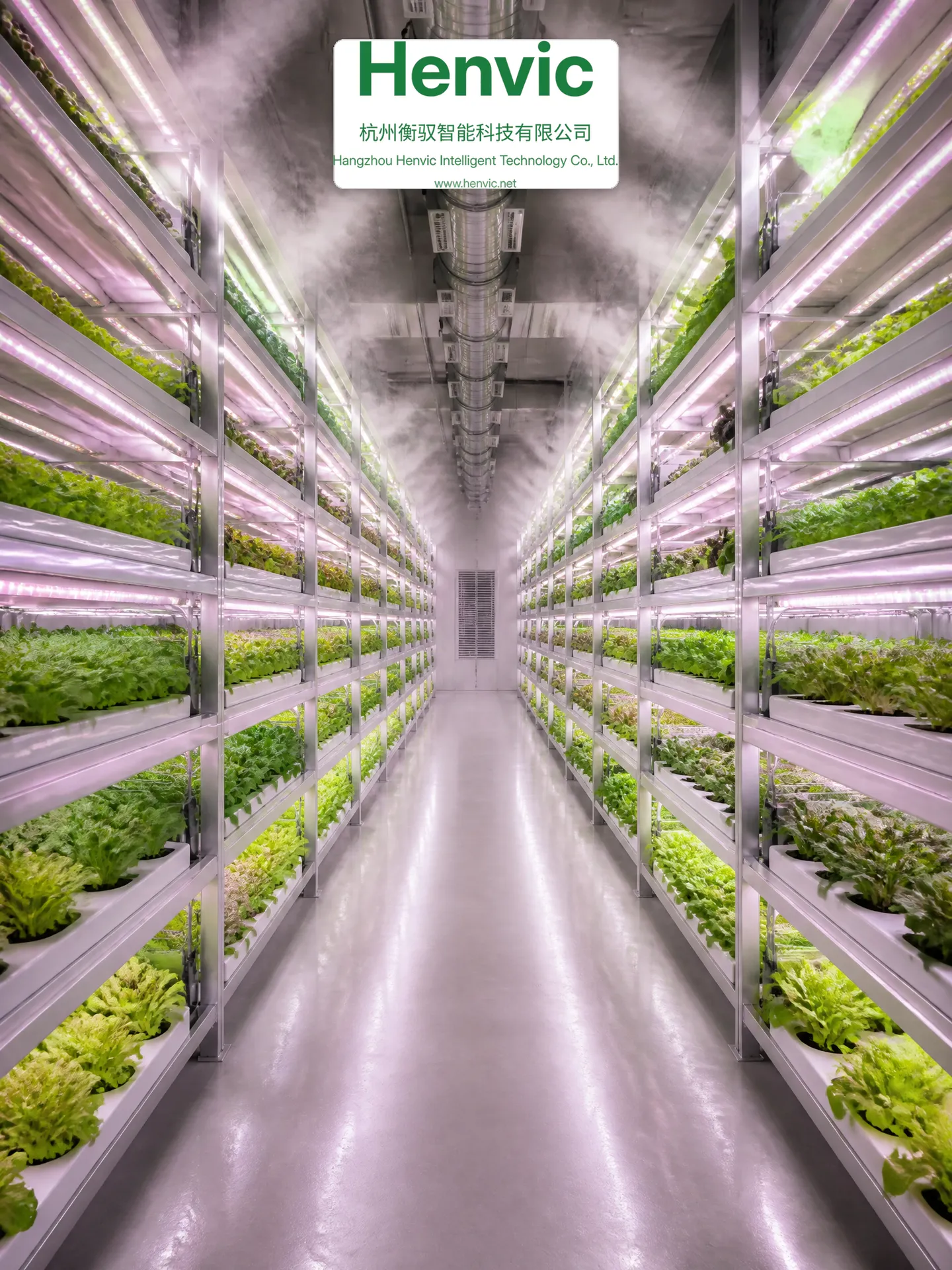 Interno della cabina di coltivazione intelligente per frutta e verdura di grande formato