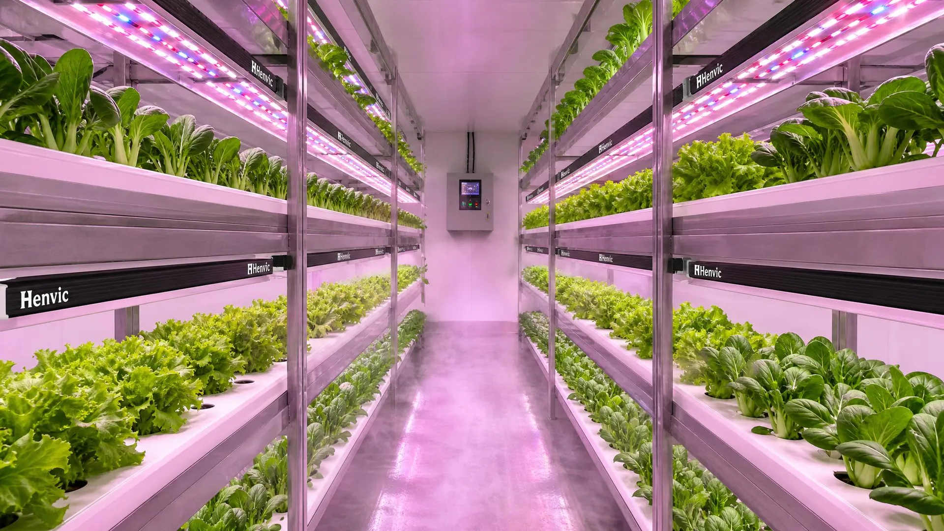 Luce di Riempimento della Cabina Intelligente per Coltivazione di Verdure e Luce Solare di Riempimento