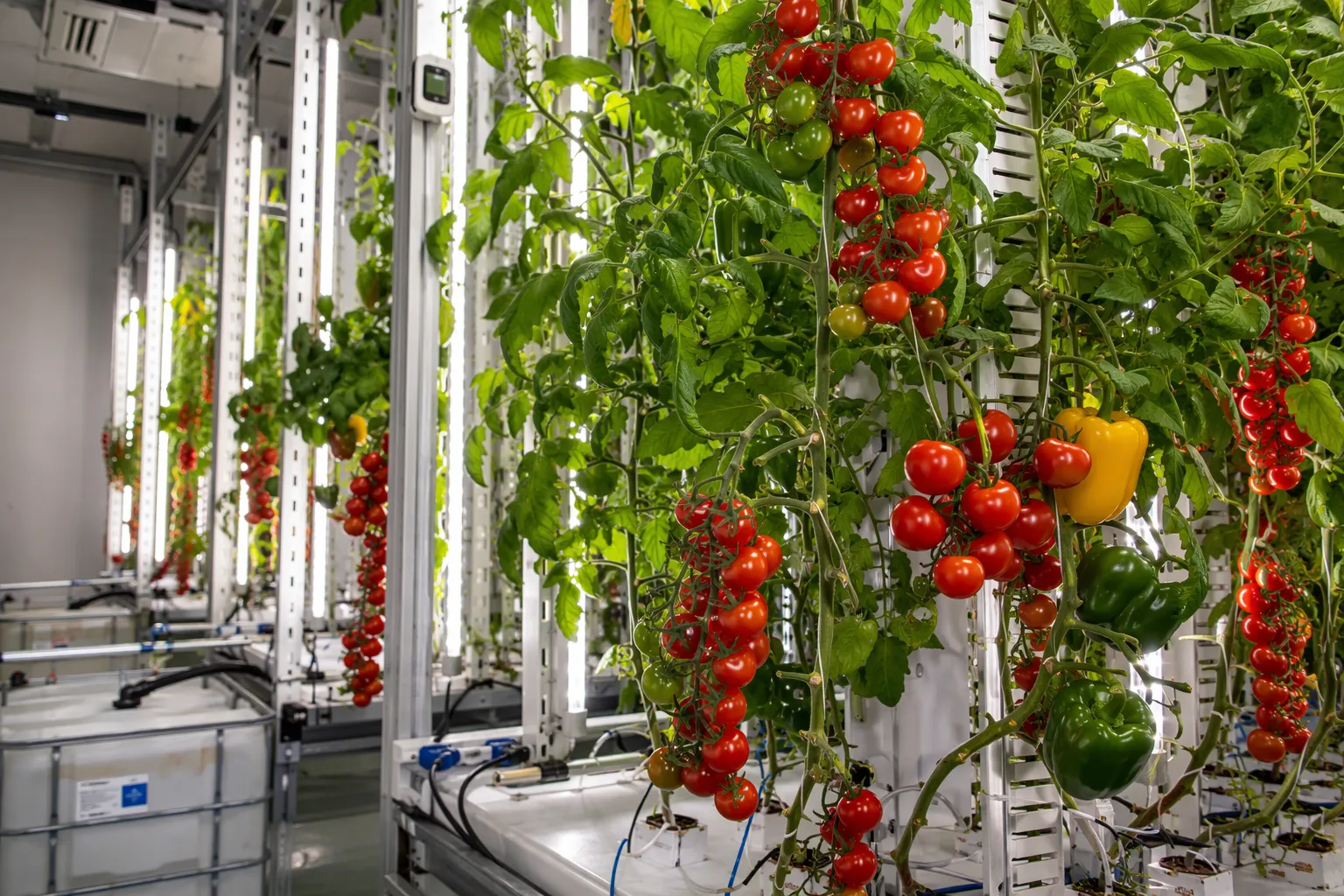 Revolutionizing Agriculture: The Power | Henvic