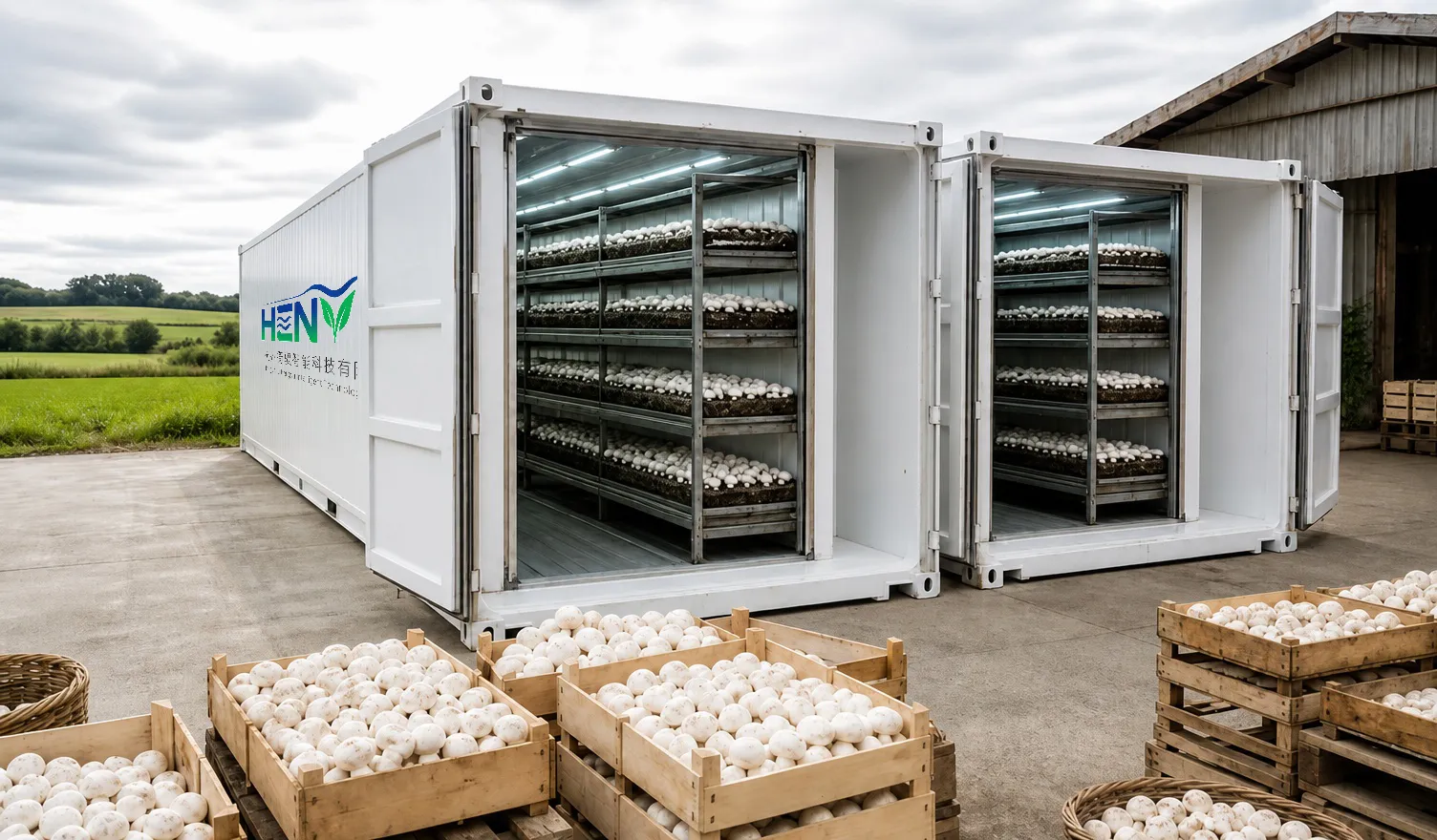 Cabina Modulare di Contenitore Congelato